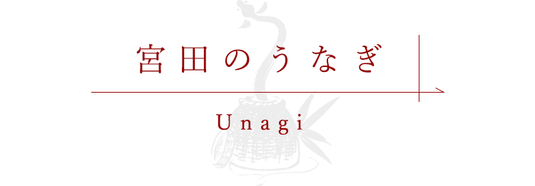 宮田のうなぎ