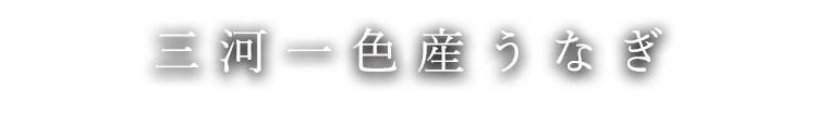 三河一色産うなぎ